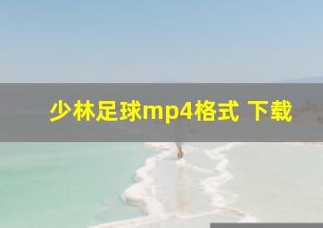 少林足球mp4格式 下载